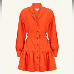 NWT - Shona Joy Cecilia Long Sleeve Mini Dress